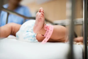 kyte baby under the microscope