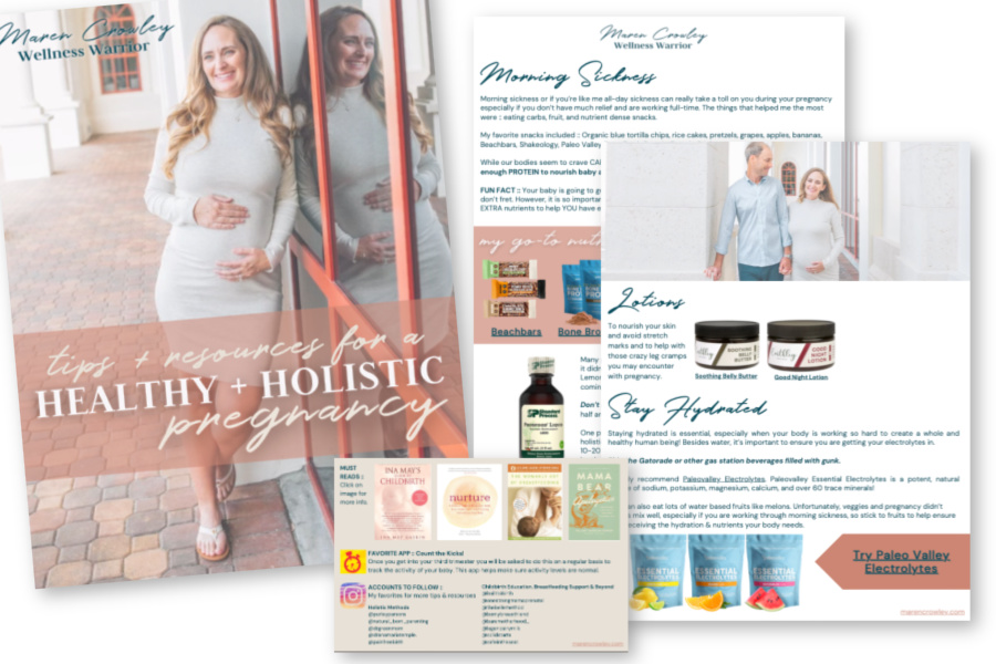 Healthy Holistic Pregnancy-cover