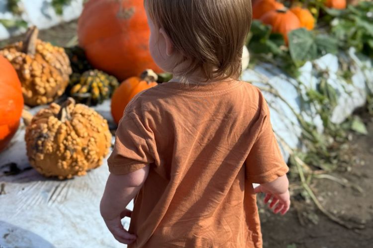 navigating halloween as a christian mom