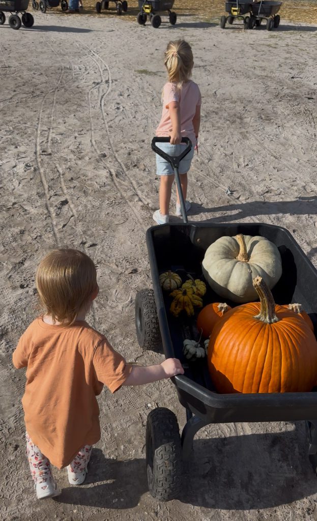 two little girls pulling a wagon in the pumpkin patch